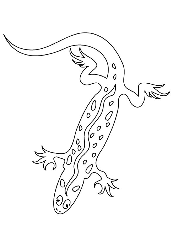 Malbuch mit einem Gecko, der sich im Sand sonnt