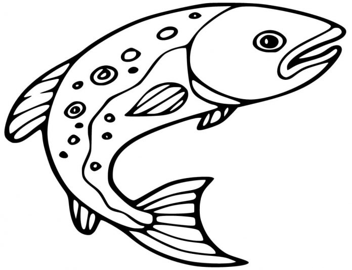 水上のひねり魚の印刷用カラーシート