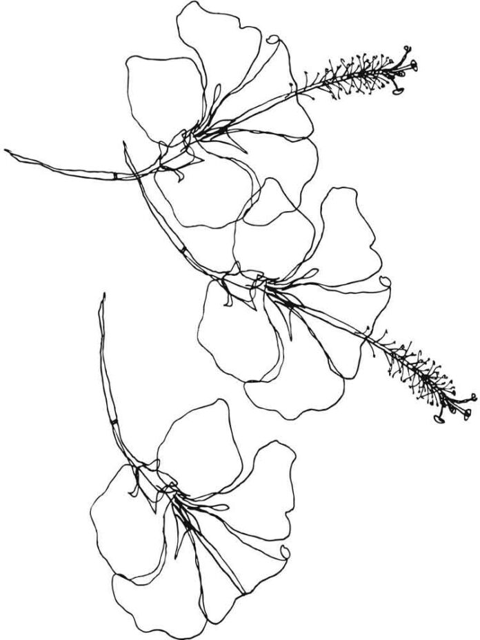 coloring book with outlines of flowers