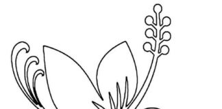 Flower coloring book for girls and boys