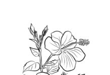 ハイビスカスの花が描かれた印刷用カラーシート