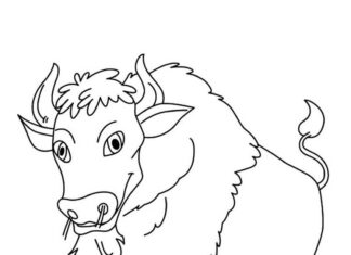 Livre de coloriage à imprimer représentant un bison satisfait dans un pré.