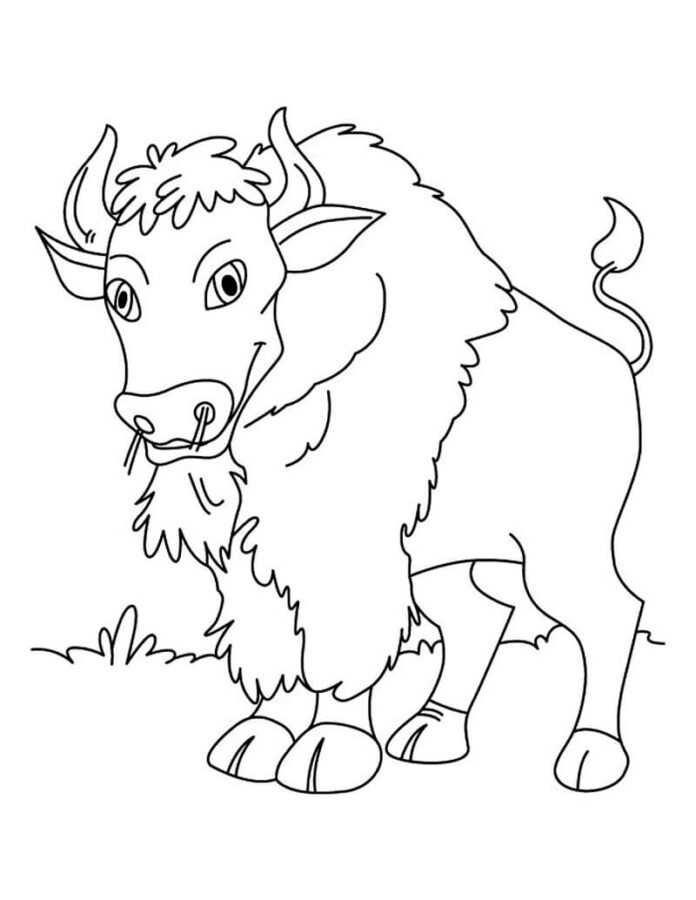 Omaľovánka spokojného bizóna stojaceho na lúke na vytlačenie