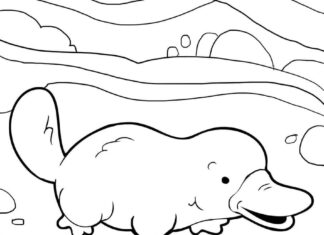 Coloring sheet of a happy pecker walking on the beach