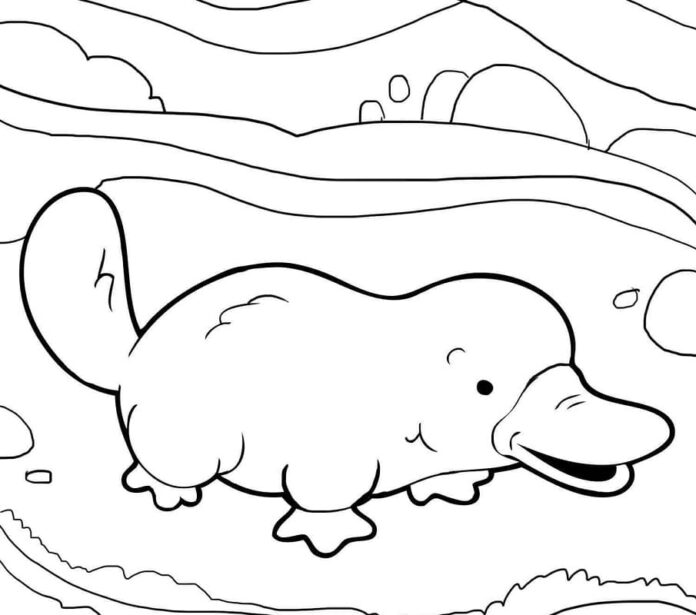Coloring sheet of a happy pecker walking on the beach