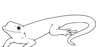 Children's coloring book happy gecko on a rock