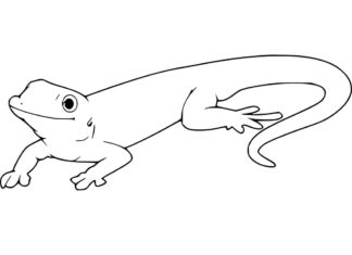 Children's coloring book happy gecko on a rock