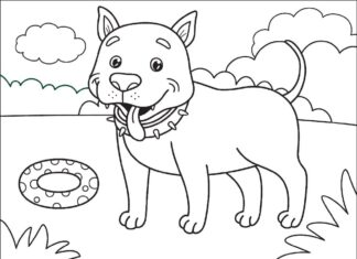 Coloring book of a happy pit bull playing with a wheel
