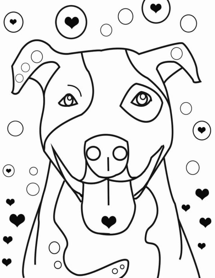página para colorear de un pitbull enamorado de los corazones