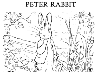 coloring book of the thoughtful rabbit Peter