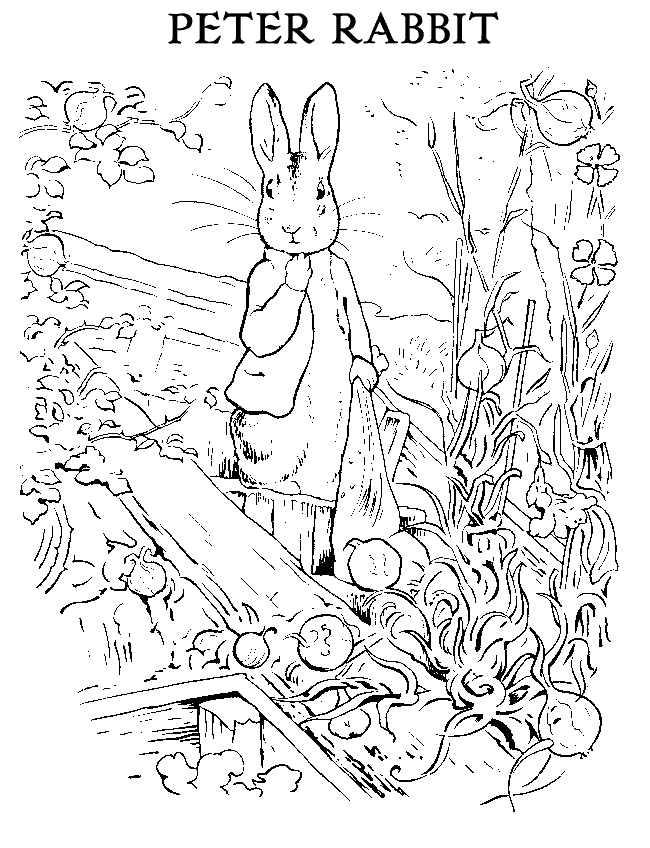 coloring book of the thoughtful rabbit Peter