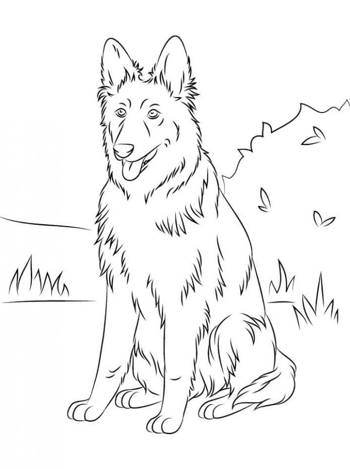 värityskirja, jossa on niityllä istuva ylikasvanut koira