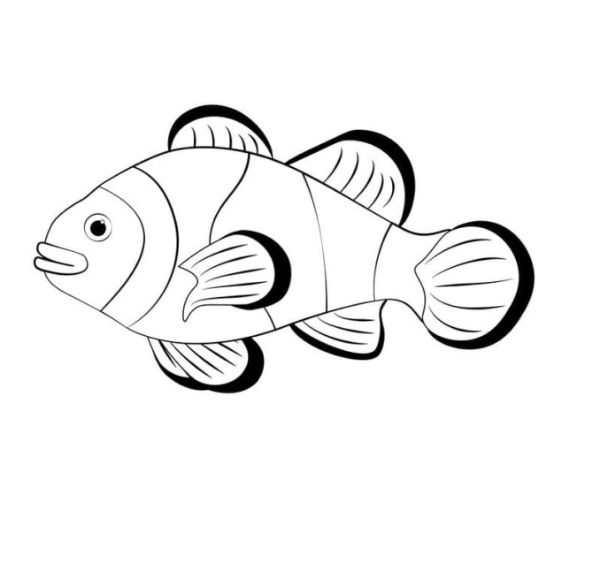 coloring page of surprised clownfish