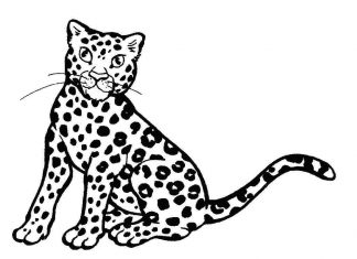 nyomtatható kifestőkönyv egy meglepett leopárdról