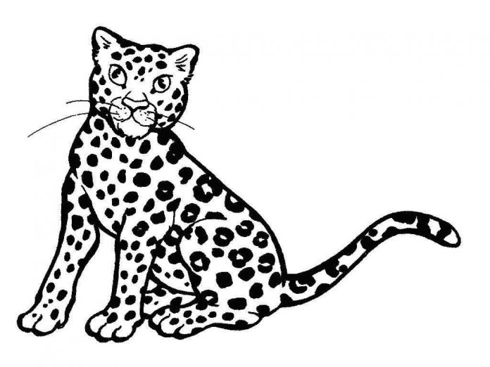 nyomtatható kifestőkönyv egy meglepett leopárdról