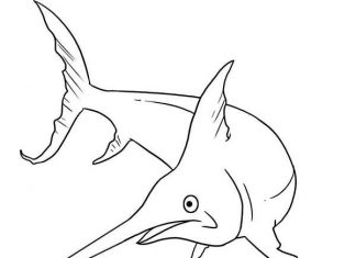 Printable coloring book of a surprised water swordfish