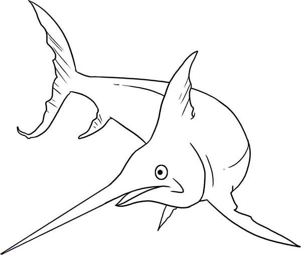 Printable coloring book of a surprised water swordfish