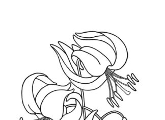coloring page of folded flowers