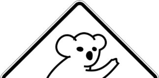 coloring page sign with teddy bear