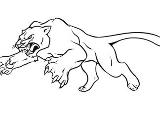 Panther coloring pages to print and print online
