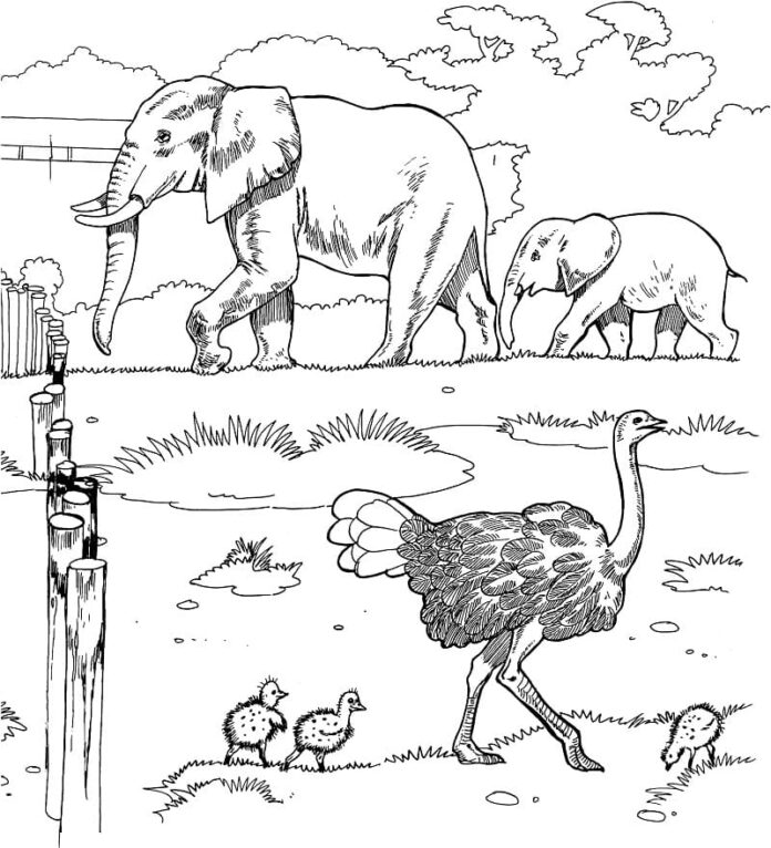 coloriage d'animaux africains derrière une clôture