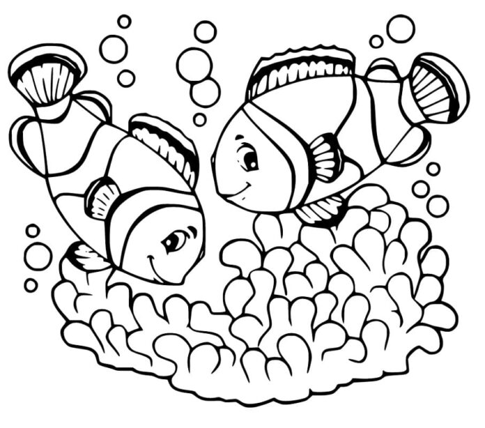 livro para colorir dois peixe-palhaço imprimíveis