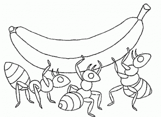 målarbok tre insekter plockar upp en frukt