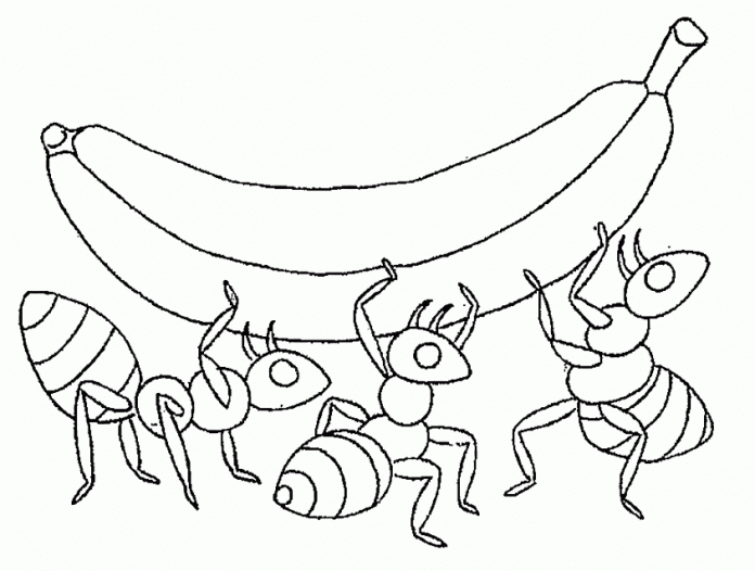 coloring pages three insects pick up fruit
