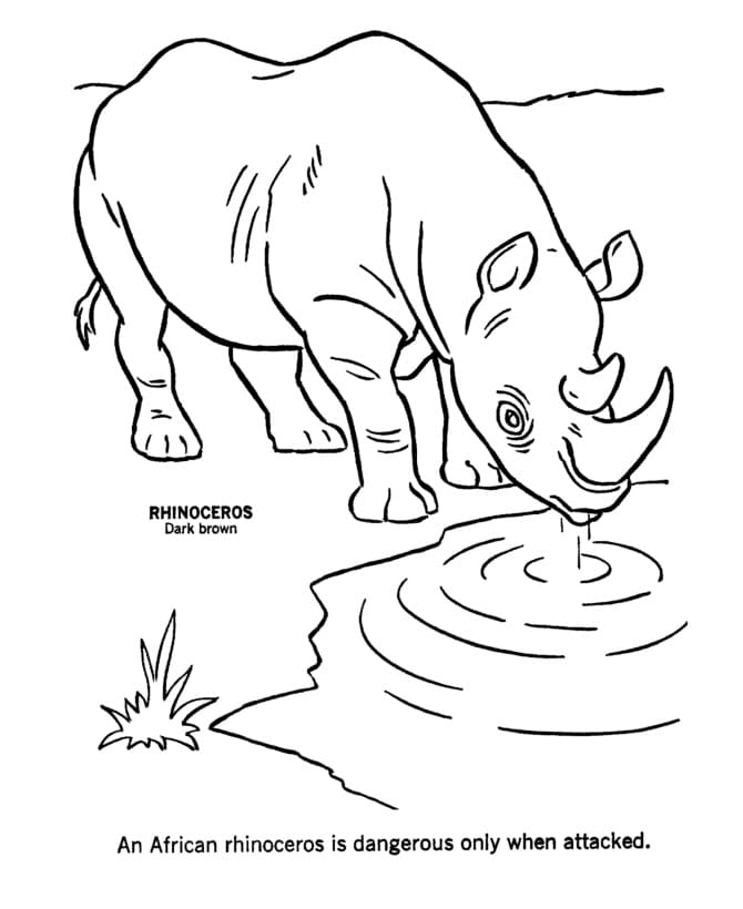livro de colorir rinoceronte em um bebedouro