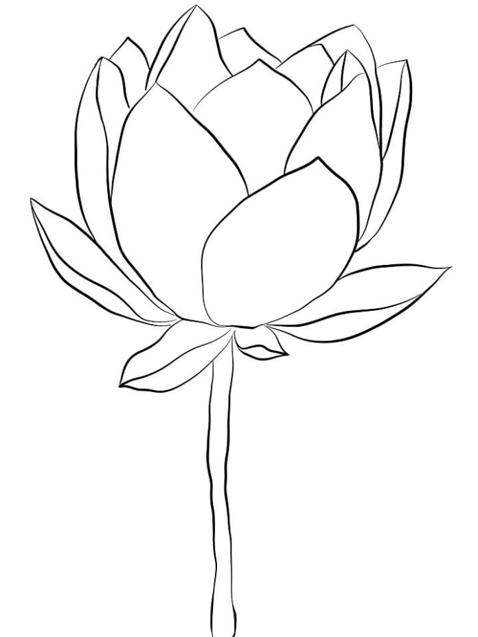 kolorwanka kwiat lotosu z łodygą do druku