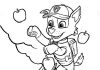 Folha para colorir Rocky recolhe maçãs Paw Patrol