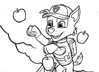 Väritysarkki Rocky kerää Paw Patrol-omenoita