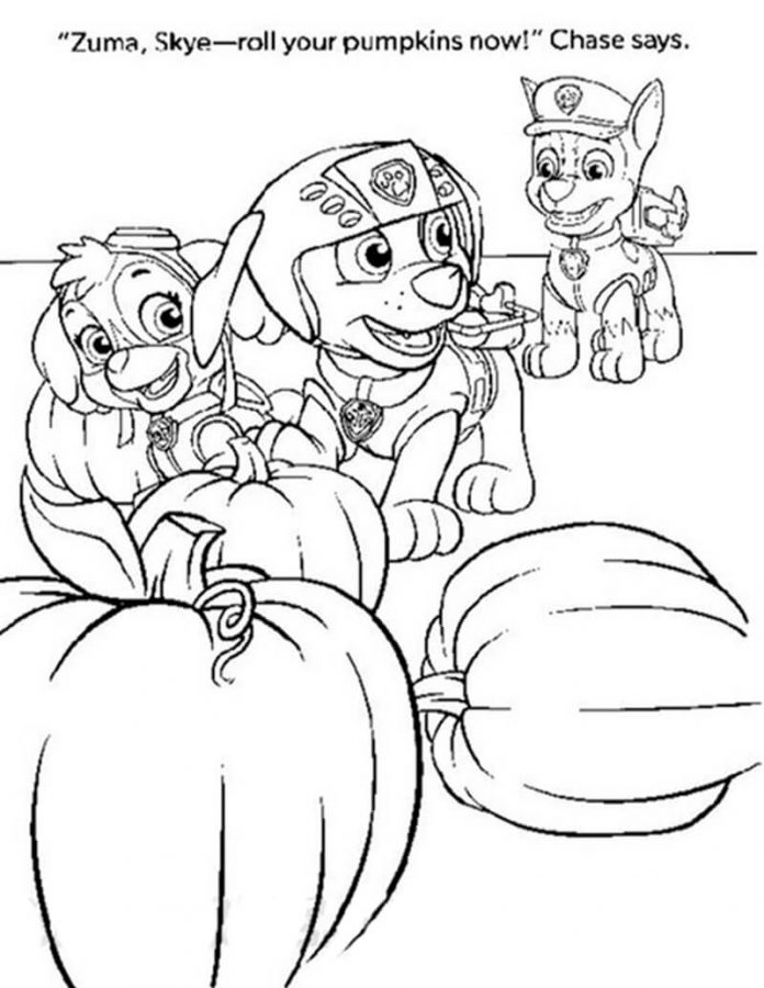 Skye coloring book with pumpkins for kids to print