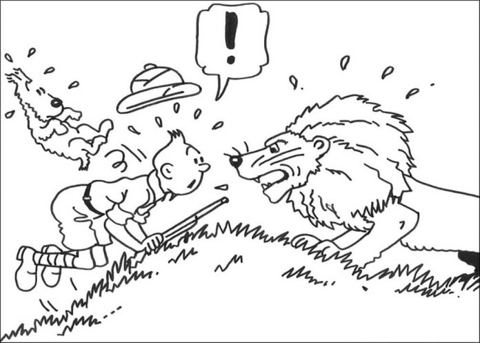 Farvelægningsbog af Tintin med en løve, som kan printes