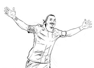 Färbung Zlatan Ibrahimović freut sich über sein Tor