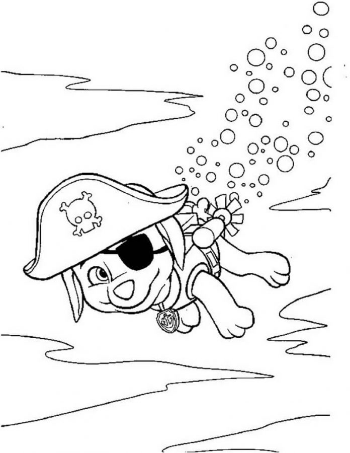 Coloring page Zuma in pirate costume dives