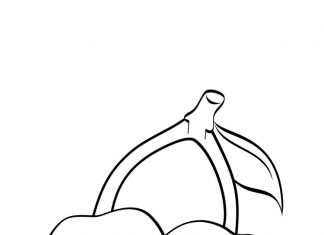 coloring page cherries from the orchard