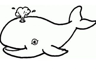 Coloring book for 2 year old dolphin blows water