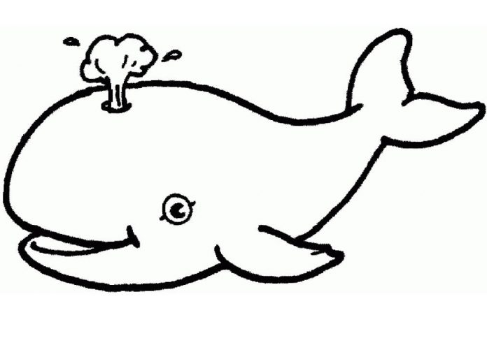Livre de coloriage pour enfants de 2 ans : le dauphin souffle l'eau