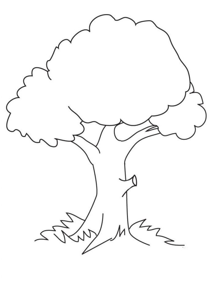 coloring book for 2 year old tree