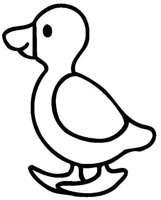 coloring book for 2 year old duckling