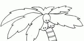 coloring book for 2 year old palm tree