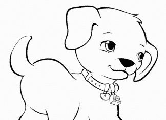 Coloring book for 3 year old little dog with collar