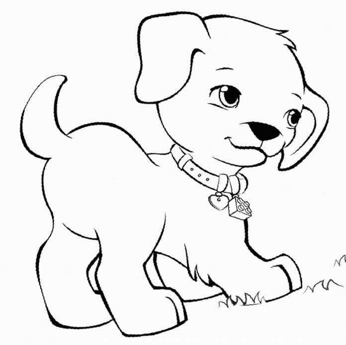Livro para colorir um cãozinho de 3 anos com coleira