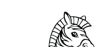 Coloring book for 7 year old striped zebra