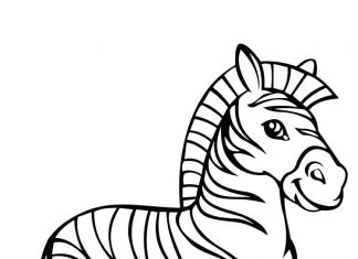 Színezőkönyv egy 7 éves csíkos zebrának