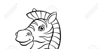Livre de coloriage "Happy zebra" pour les enfants