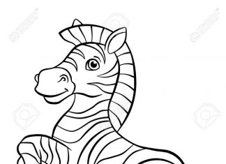 Feliz livro para colorir a zebra para crianças