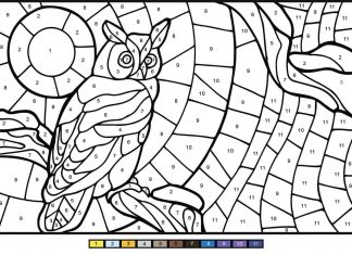 livro de colorir para 7 anos de idade por instruções de coruja