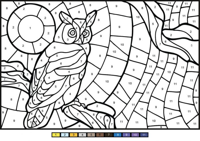 Coloring book for 7 year old by owl instructions